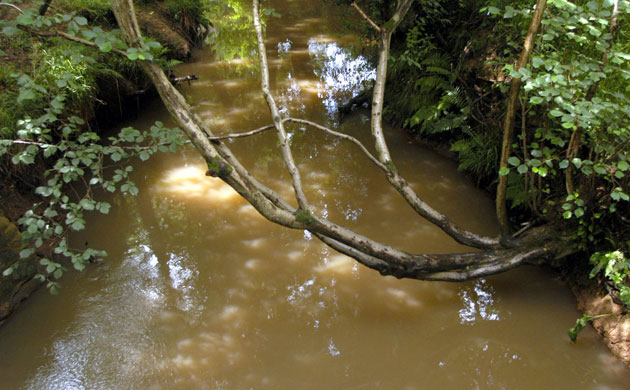 State of English rivers: River Medway, Pooh sticks Bridge, Ashdown Forest, Kent, Britain 