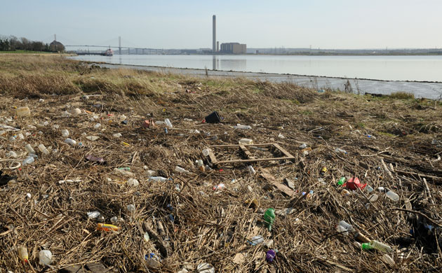 State of English rivers: River Thames estuary, Essex