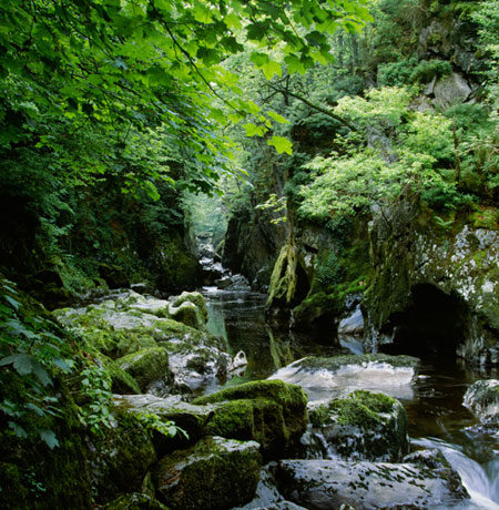 State of English rivers: River Conwy