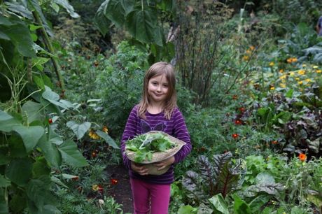 Branch Hill Allotments