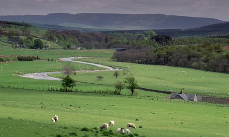 The state of UK rivers : A river snakes along Coquet Dale in Northumberland
