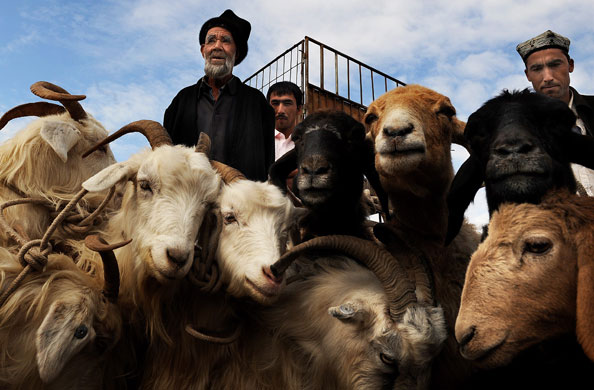 23 September 2009: Kashgar, China: Merchants of the Islamic Uighur ethnic group