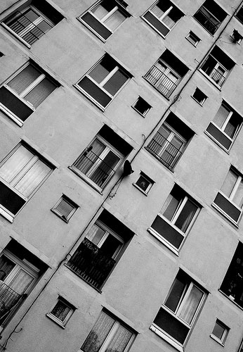 James Davies: Camera Club: James Davies's Portfolio Review