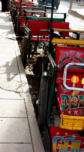 smallnorthernbird: Camera Club: smallnorthernbird's Portfolio Review