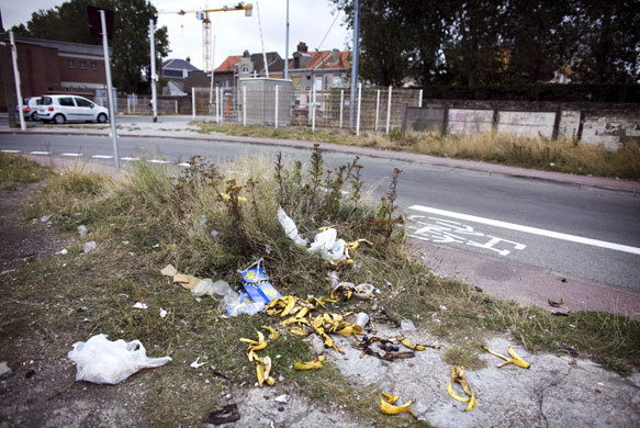 Afghan refugees in France: Afghan refugees in France