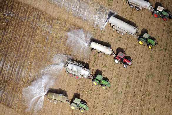 25 September 2009: Zernikow, Germany: Dairy farmers spill milk onto a field