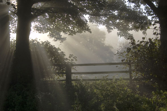 In Pictures: Fall: Ian Topham