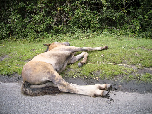 In Pictures: Fall: Andrew Hill