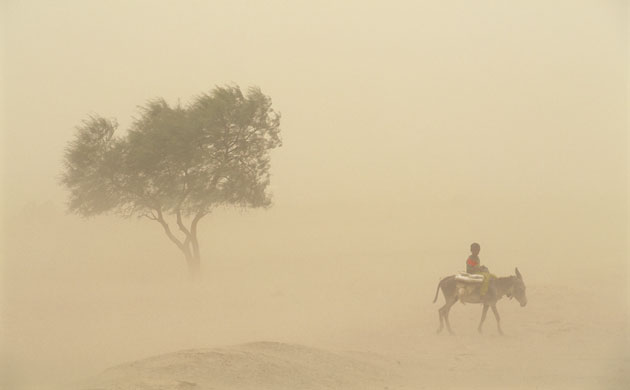 Dust storm: Sandstorm in Wadi Mur, Tihama, Yemen 