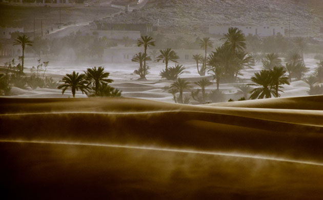 Dust storm: Sand,storm at an Oasis Kerzaz, Algeria