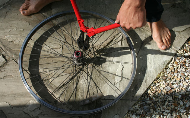 Fishing Crayfish: George Monbiot : How to catch, prepare and cook  invasive crayfish