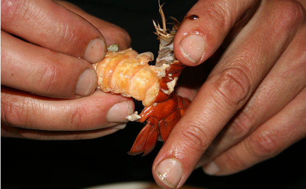 Fishing Crayfish: George Monbiot : How to catch, prepare and cook  invasive crayfish