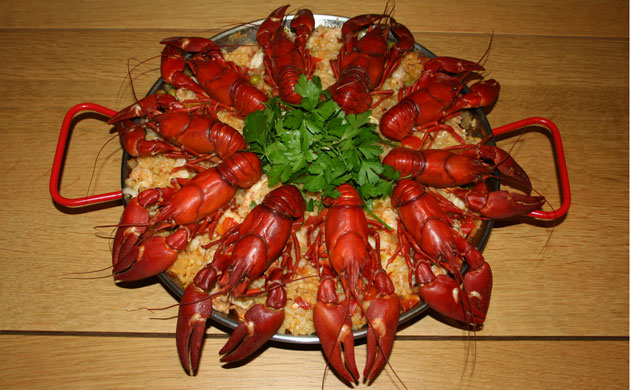 Fishing Crayfish: George Monbiot : How to catch, prepare and cook  invasive crayfish