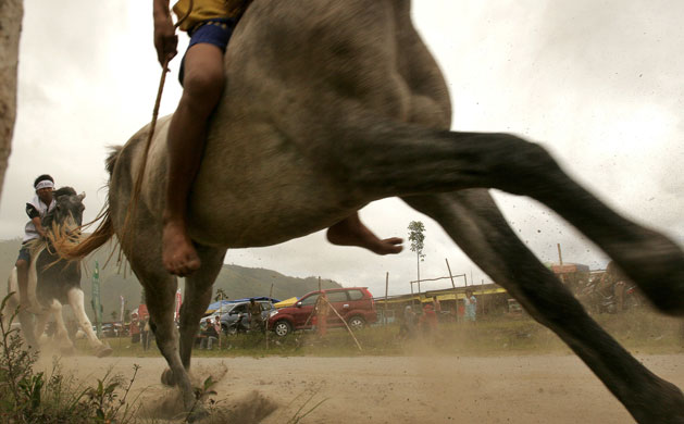 24 hours in pictures:  Acehnese youths compete during a traditional horse race