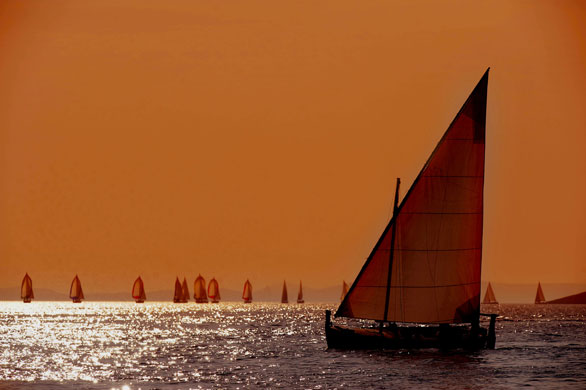 24 hours in pictures: Sailing boats with traditional lateen sails during a regatta  in croatia