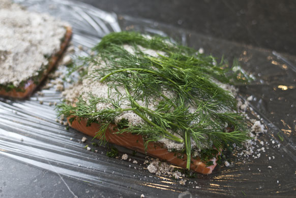 Gravadlax: How to make gravadlax