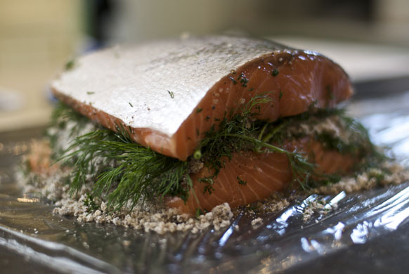 Gravadlax: How to make gravadlax