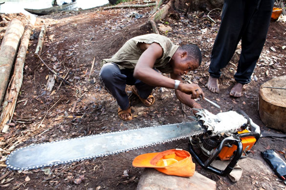 Rainforest Project: Deforestation in DRC