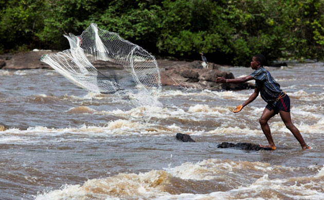 Rainforest Project: Deforestation in DRC