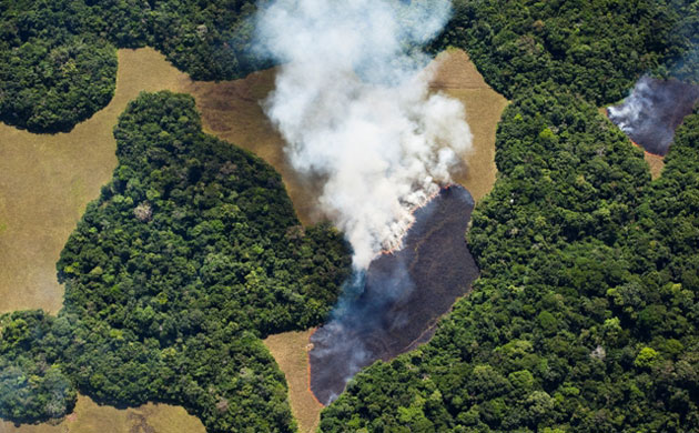 Rainforest Project: Deforestation in DRC