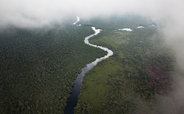 Rainforest Project: Deforestation in DRC