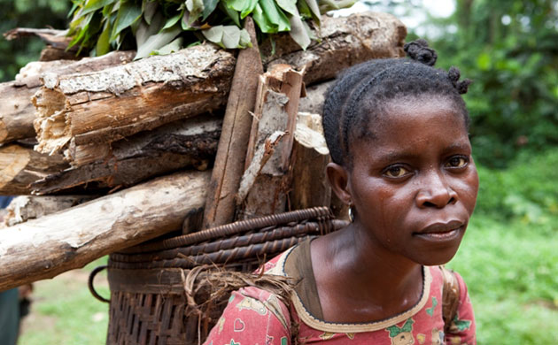 Rainforest Project: Deforestation in DRC