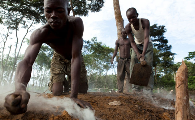 Rainforest Project: Deforestation in DRC