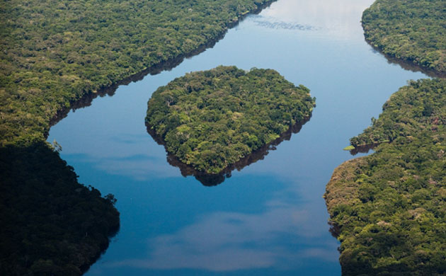 Rainforest Project: Deforestation in DRC