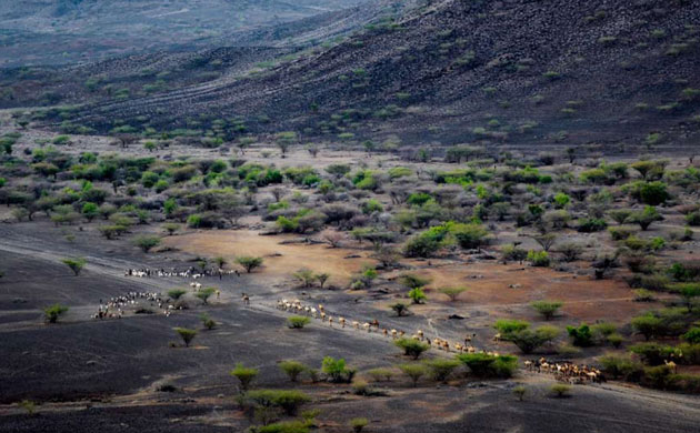 Turkana pastoralists: Nomad tribe facing climate change in Kenya