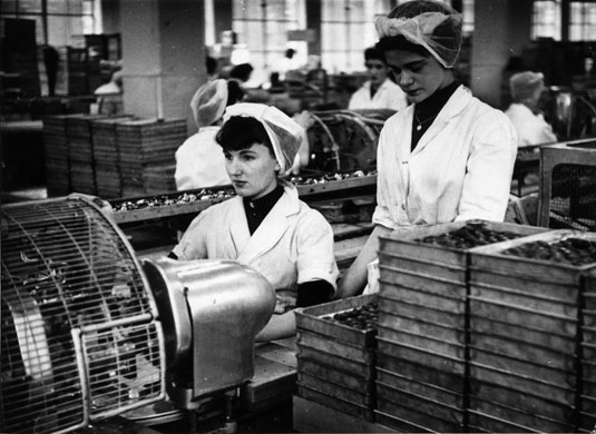 Cadbury's: Cadbury's Bournville factory 1954