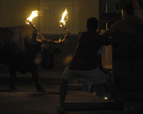 24 hours in pictures: Toro Embolao festival in Spain 