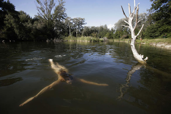 24 hours in pictures: A woman dives in a lake in the Lobau area in the Danube floodplain 
