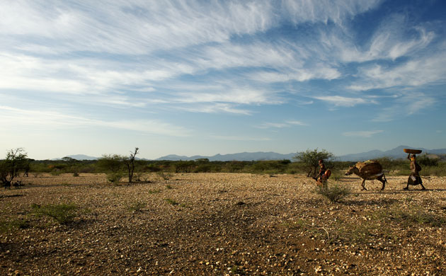 New Kenya: Turkana pastoralists facing climate change in North-East of Kenya