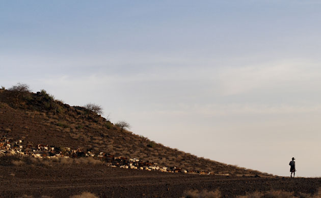 New Kenya: Turkana pastoralists facing climate change in North-East of Kenya