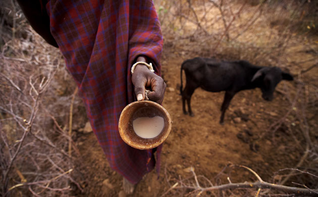 New Kenya: Turkana pastoralists facing climate change in North-East of Kenya