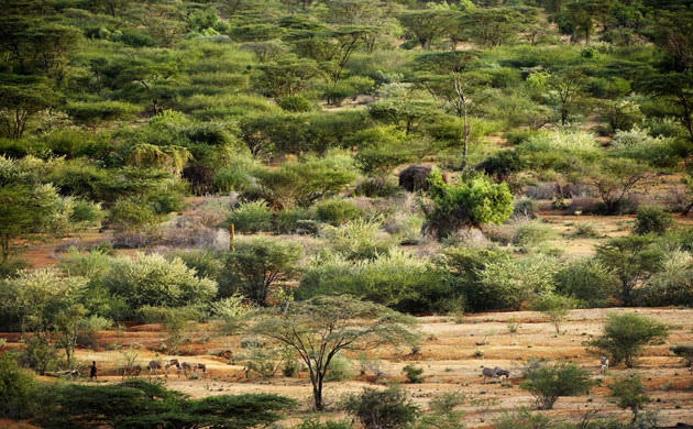 New Kenya: Turkana pastoralists facing climate change in North-East of Kenya