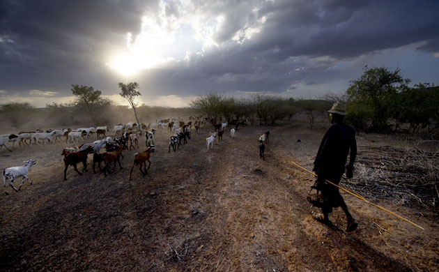 New Kenya: Turkana pastoralists facing climate change in North-East of Kenya