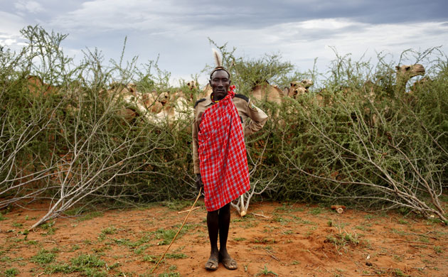 New Kenya: Turkana pastoralists facing climate change in North-East of Kenya