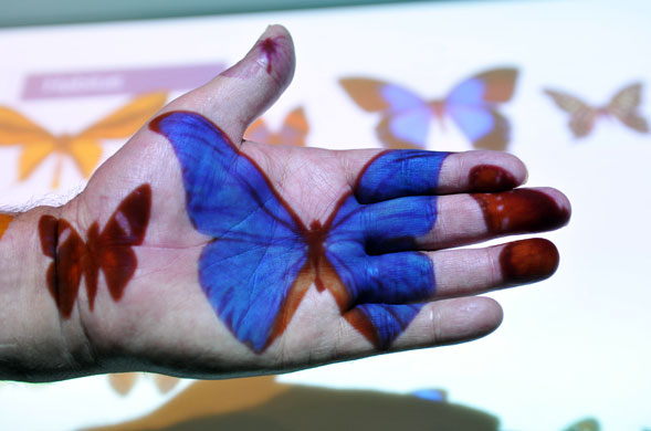 9 September 2009: London, UK: The Darwin Centre at The Natural History Museum