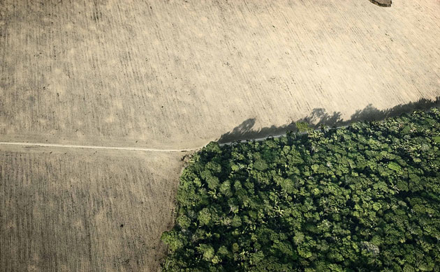 CIWEM: The Environmental Photographer Of The Year 2009 Competition