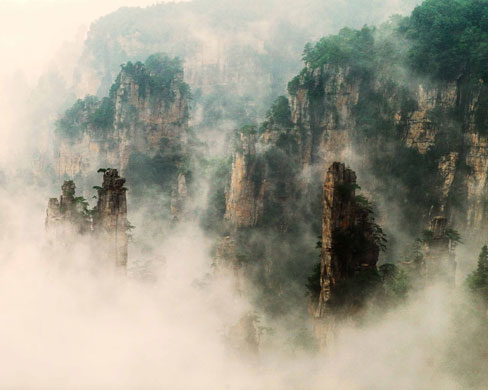 CIWEM: The Environmental Photographer Of The Year 2009 Competition