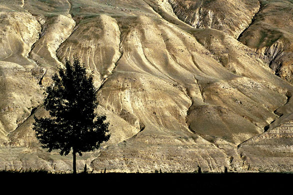 CIWEM: The Environmental Photographer Of The Year 2009 Competition