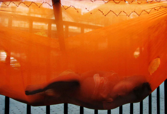 CIWEM: The Environmental Photographer Of The Year 2009 Competition