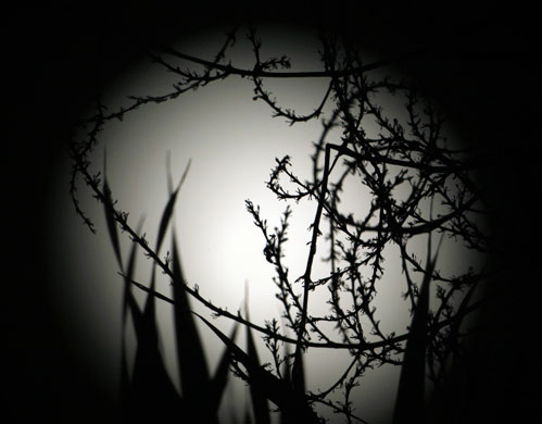 24 hours: Blue Moon and lunar eclipse in Manila, Philippines