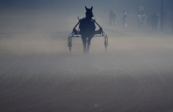 24 hours: New Year's Eve trotter race in Kincsem Park, Budapest, Hungary