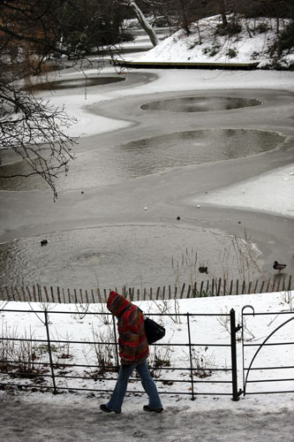 snow update: The ice begins to melt in the lake in Birkenhead Park