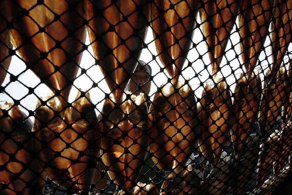 24 hours in pictures: A vendor sun dries his fish on a busy street in Manila