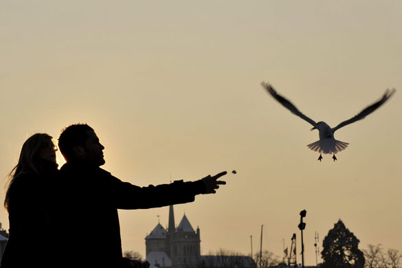 24 hours in pictures: A couple feed bread to a seagull in Geneva