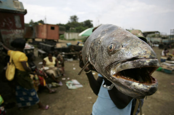 24 hours in pictures: Cabinda, Angola: A fisherman carries a big fish at Lombolombo beach