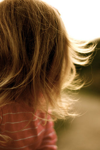 Hannah Stevenson : Hannah Stevenson camera club portfolio